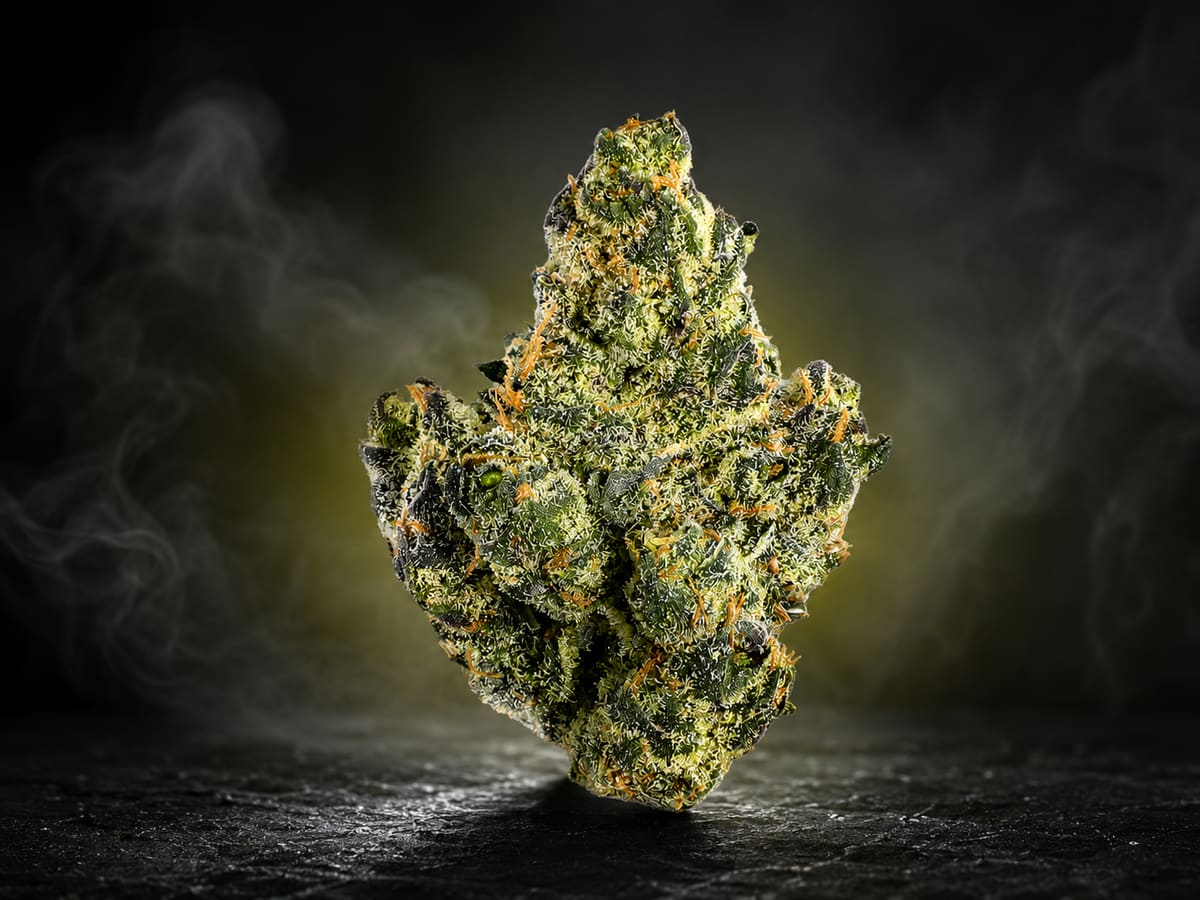 Premium THCA cannabis flower bud at iSmokee smoke shop near Disney World in Orlando — open late until 2:30 AM, 21+