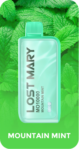 Lost Mary MO10000 Mountain Mint rechargeable disposable vape at iSmokee