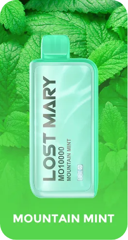 Lost Mary MO10000 Mountain Mint rechargeable disposable vape at iSmokee